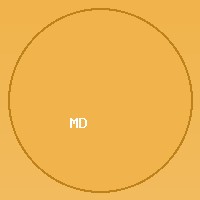 Content Moderator 03